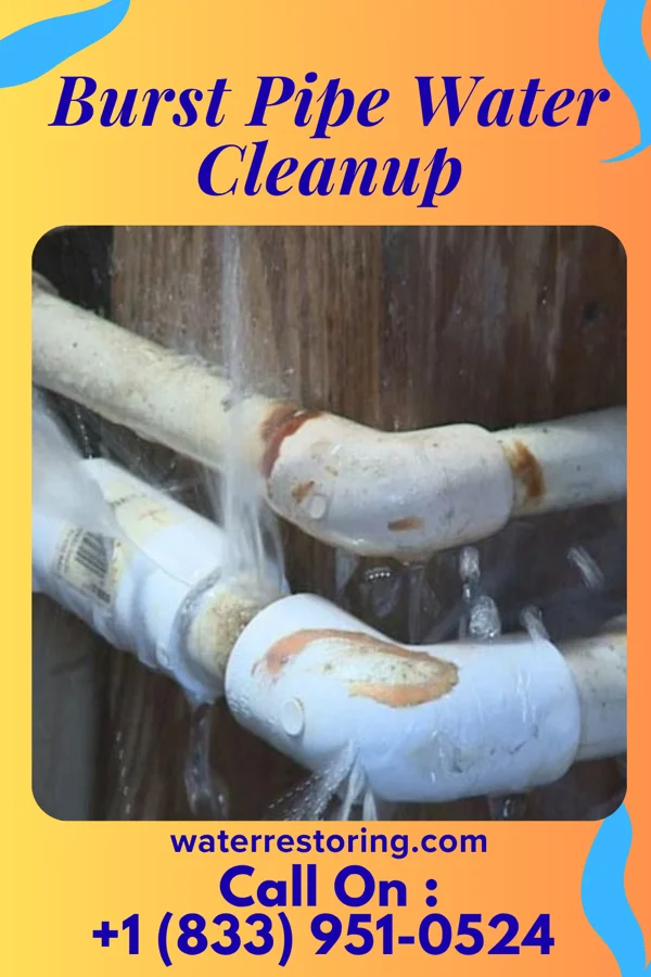 Burst Pipe Water Cleanup in River Road, WA