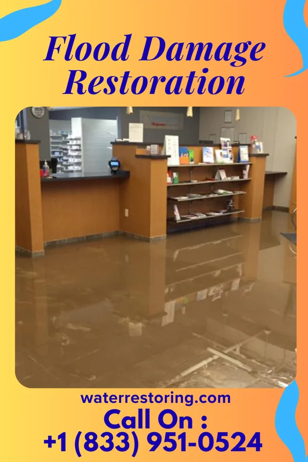 Flood Damage Restoration in River Road, WA