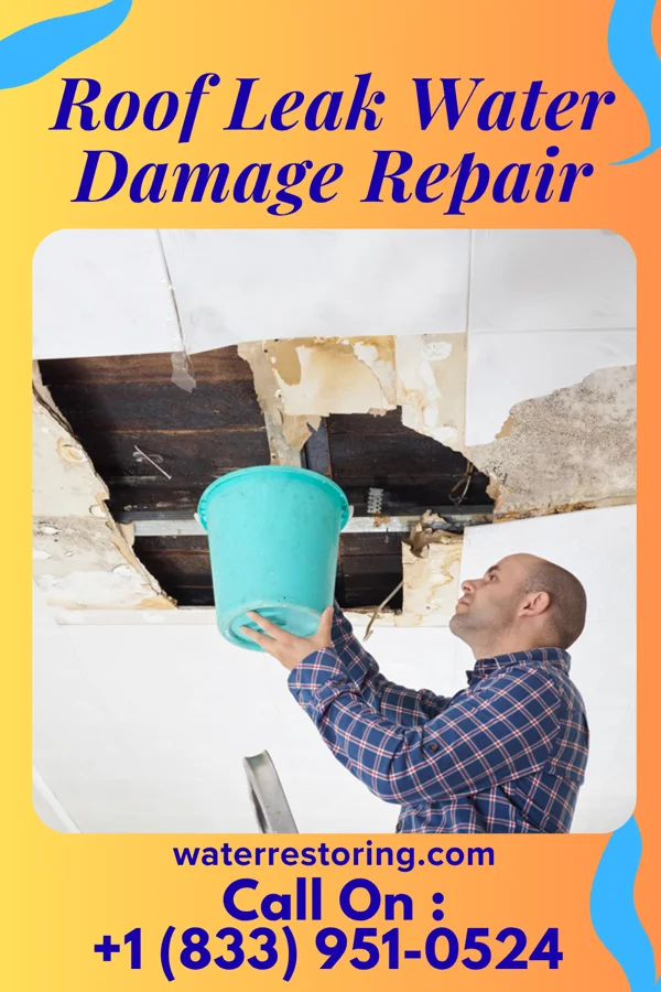 Roof Leak Water Damage Repair in River Road, WA