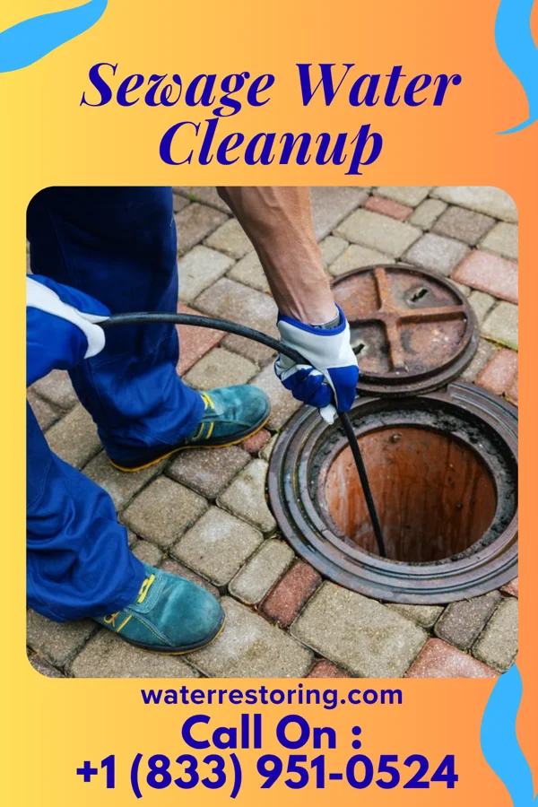 Sewage Water Cleanup in River Road, WA